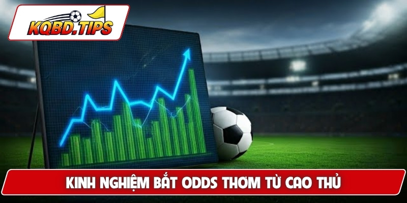 Kinh nghiệm bắt odds thơm từ cao thủ
